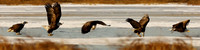 This Photo Only Available In 12"x48"