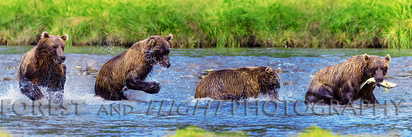This Photo Only Available In 12"x36"