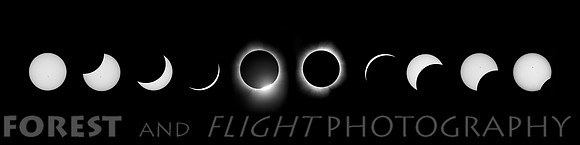 Only In 12"x48" Solar Eclipse April 8, 2024, Hagerstown, IN