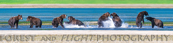 This Photo Only Available In 12"x48"