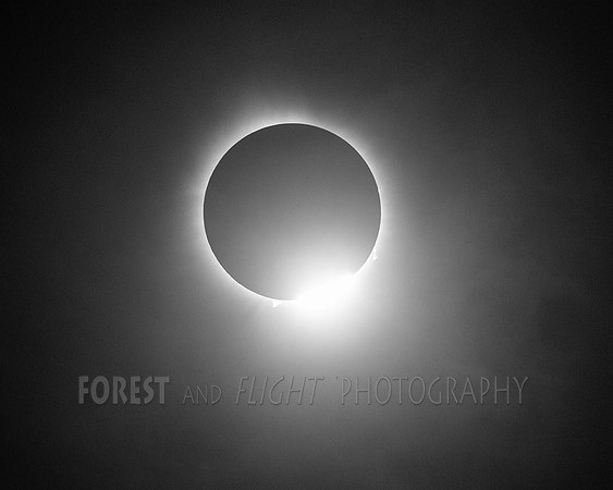 "Diamond Ring After Totality" Solar Eclipse April 8, 2024, Hagerstown, IN
