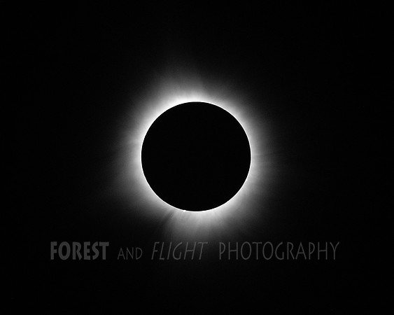 "Totality" Solar Eclipse April 8, 2024, Hagerstown, IN
